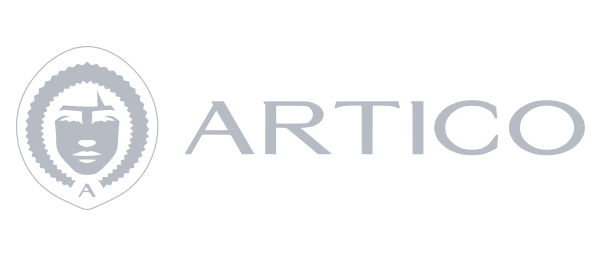 logotipo-case-artico